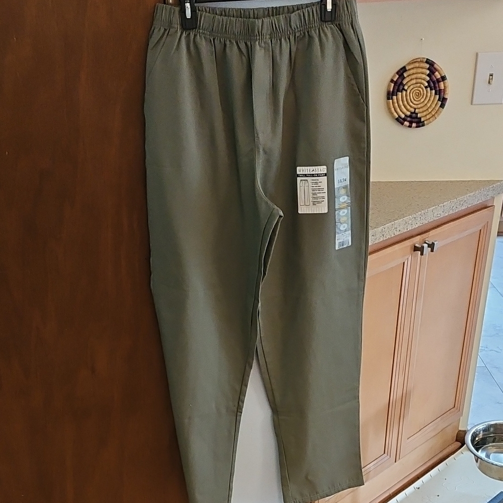 NWT Twill Pull-on Pant, Seacrest Green